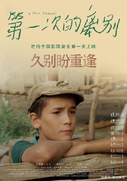 中国学位与教育文凭认证系统在运行期间出现错误